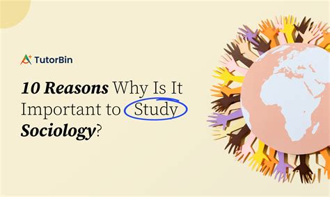 10 Reasons Why Is It Important to Study Sociology?