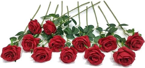 Buy Zoxito Red Artificial Rose Flowers, Silk Roses Single Stem ...