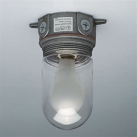 Walk-In Freezer Light Fixture 的图像结果