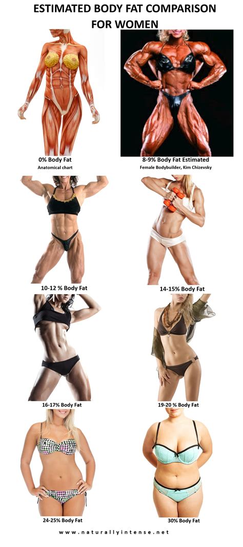 Women's Body Fat Chart Why Body Composition Matters—and How To