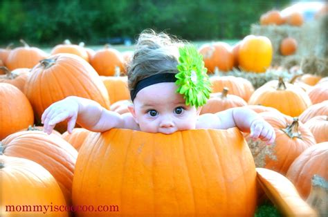 Pumpkin Patch Daycare "2016"!! | Fall baby pictures, Baby in pumpkin ...