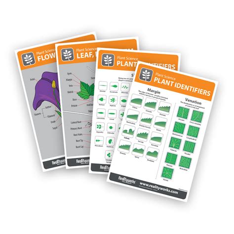 Image result for Plant Science Kit