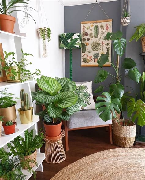 30+ Living Room Plant Decor Ideas - DECOOMO