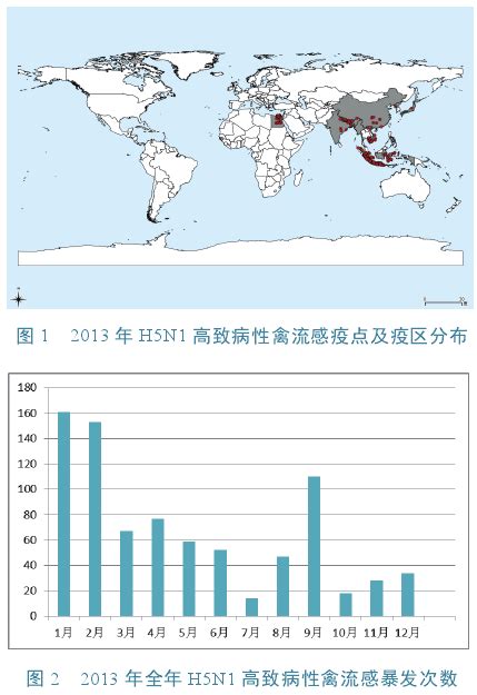 2005年全球禽流感分布图解_媒体聚焦_新闻中心_新浪网