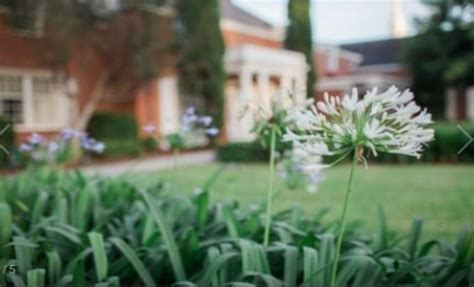 Carson Mclane Funeral Home - Valdosta Obituaries & Services In Valdosta, Ga