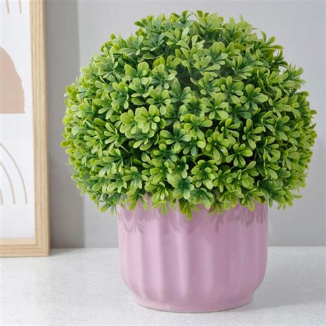 Buy Pots and Planters Online @ Best Prices Online | Home Centre