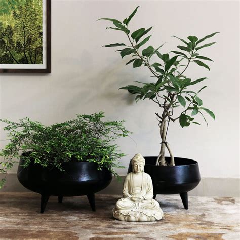 Decorative black planters with legs – Mora Taara