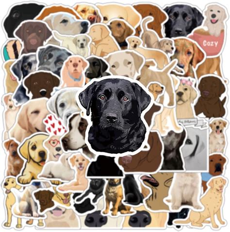 Image result for Database Type Client Database
