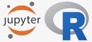 Python Notebook Logo 的图像结果