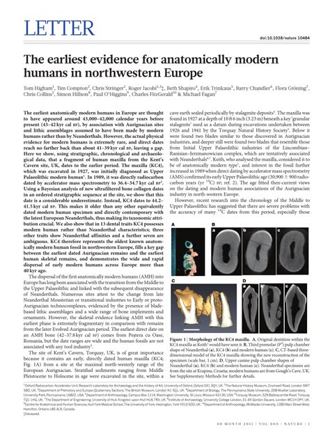 Anatomically Modern Humans 的图像结果