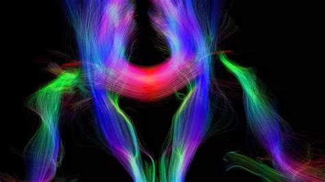 Learning a Second Language 的图像结果