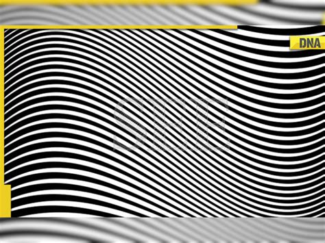 Can you spot the hidden word in this viral optical illusion?