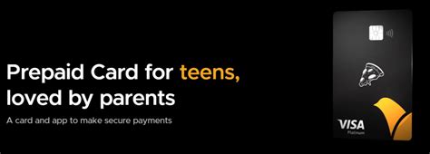 Image result for Fampay Debit Card