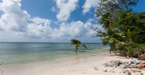 La Pointe Beach Huts - Apartment - Location - Praslin (Seychelles ...