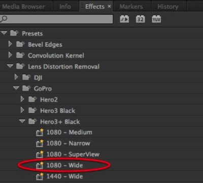 Image result for GoPro Distortion