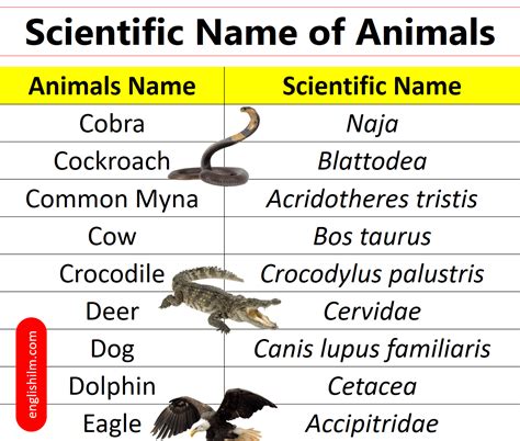 100+ Scientific Names of Animals in English | Scientific Names