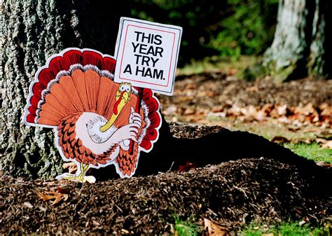 Thanksgiving Jokes For Adults