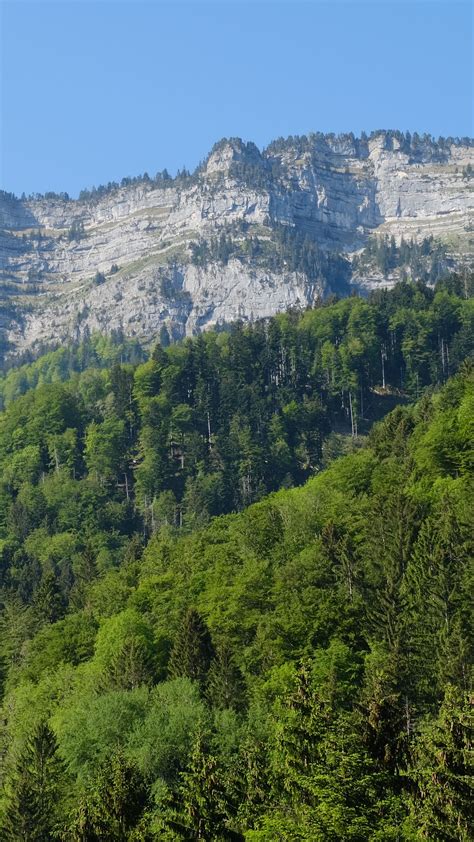 Download wallpaper 1350x2400 rocks, cliff, forest, trees, landscape ...