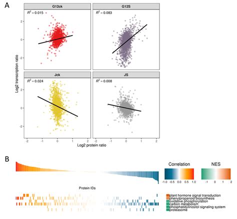 Transcriptome Plot 的图像结果