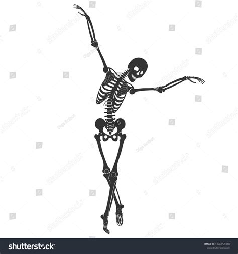 Image result for Skeleton Ballet