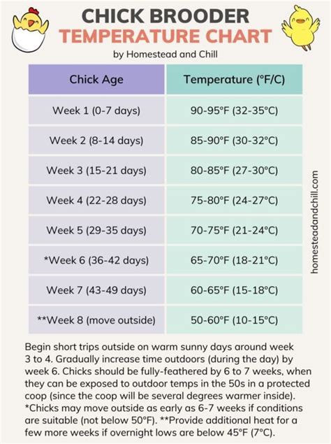 Image result for Brooder Temperature Chart