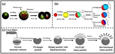 Synthesis of Janus Particles by Seeded Emulsion Polymerization | MDPI