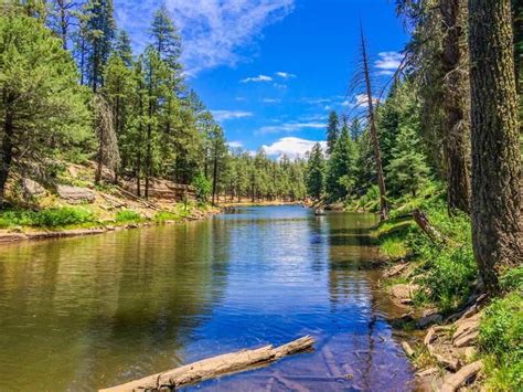 Forest Service Campgrounds Arizona: Booking & Reservations