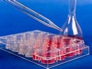 Image result for Mammalian Expression Vector