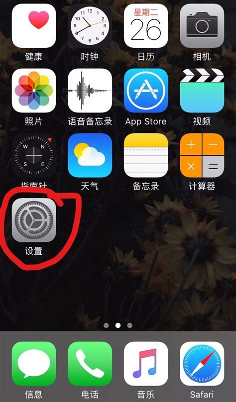 从 Apple 钱包中移除凭证 - 官方 Apple 支持 (中国)