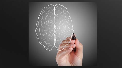 Brain and Behavior 的图像结果