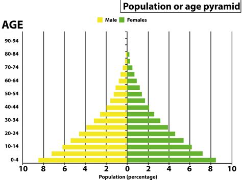 What are age pyramids? Name different types of age pyramids.
