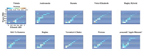 Electrochemical Voltammogram Recording for Identifying Varieties of ...