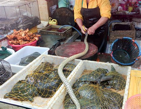 Mit hoher Biosicherheit gegen Zoonosen | agrarheute.com