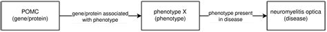 Combining LLMs and Knowledge Graphs to Reduce Hallucinations in ...