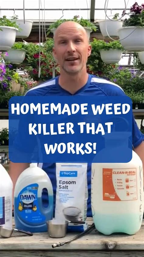 Bug and weed killer – Artofit