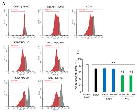 Immortalized Canine Adipose-Derived Mesenchymal Stem Cells as a Novel ...