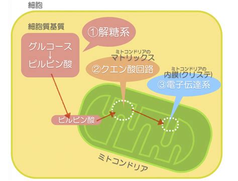 Image result for Secure Hash Algorithm Hint Image