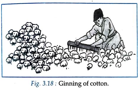 Image result for Class 6 Science Chapter 3