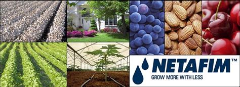 Image result for Netafim Problems