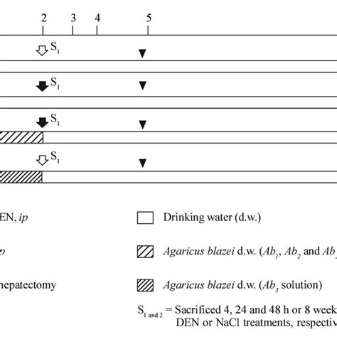 Image result for Science Protocol