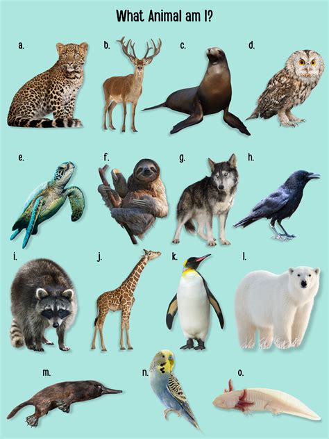 What Animal Am I Quiz - wikiHow