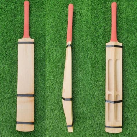 se sports 4 SCOOP HARD TENNIS KASHMIRI WILLOW CRICKET BAT FOR HARD ...