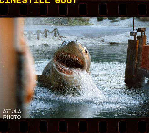 015_Universal_Studios_Hollywood_CineStill_800T_Backlot_Tour_Amity ...