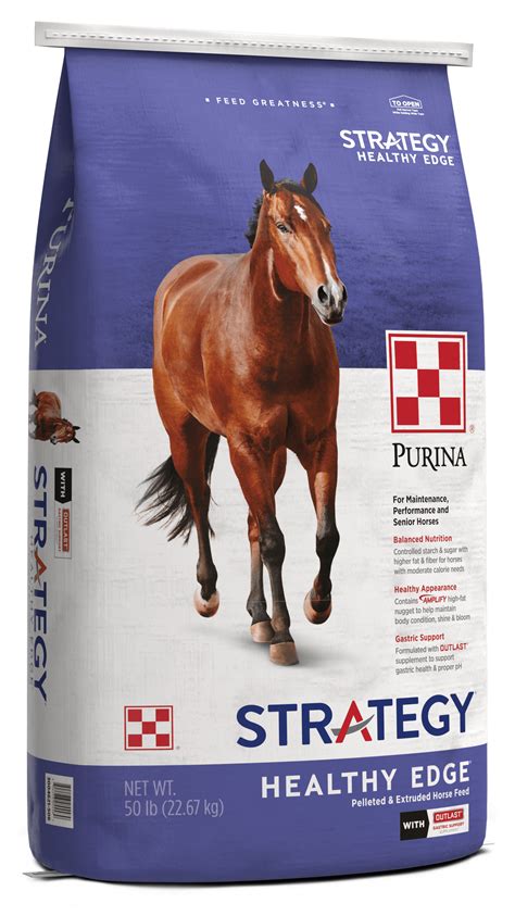 2022-Strategy-Healthy-Edge-Bag