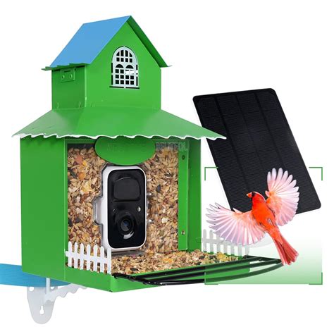 Smart Bird Feeder Camera, Bird Watching Camera Automatically Capture ...