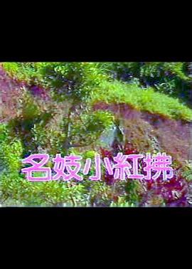 80s电影网 - 80s电影天堂_80s手机电影_最新电影电视剧在线观看