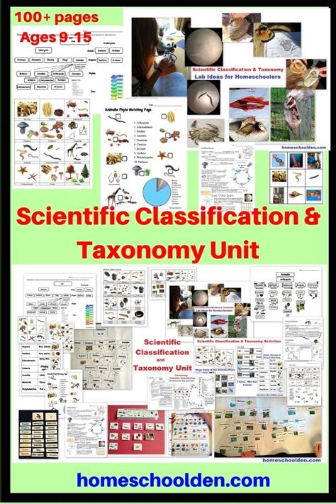 Image result for Scientific Classification
