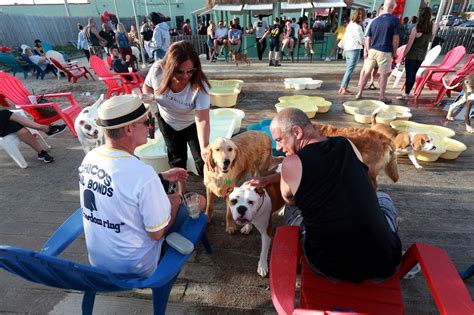 Wonder Bar’s dog-friendly ‘Yappy Hour’ may be impacted by Asbury Park ...