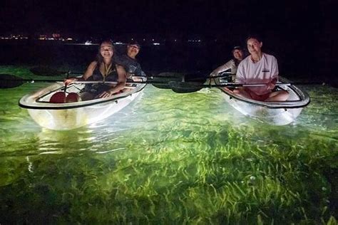 2025 Siesta Key, FL - Clear Kayak LED Night Glass Bottom Tour (Sarasota ...