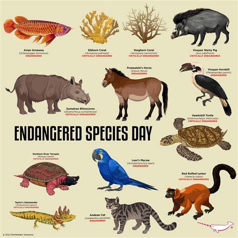 Endangered Species Of Animals In The World